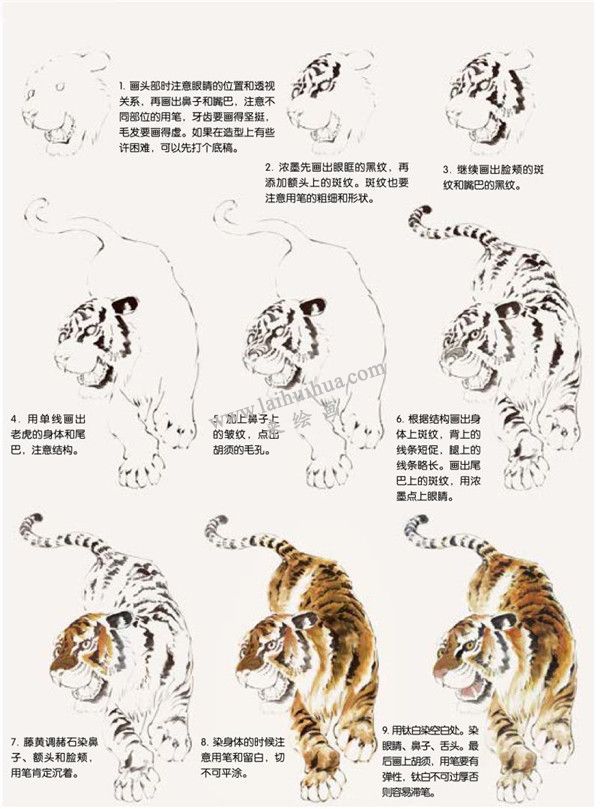 老虎的国画画法步骤