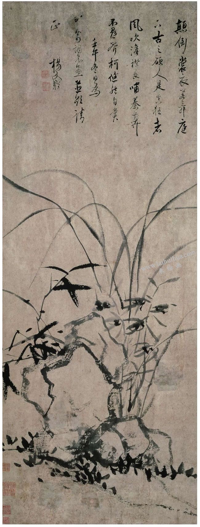 杨文骢《兰石图》轴高清大图