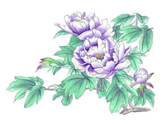 中国画（水墨画）牡丹花的画法