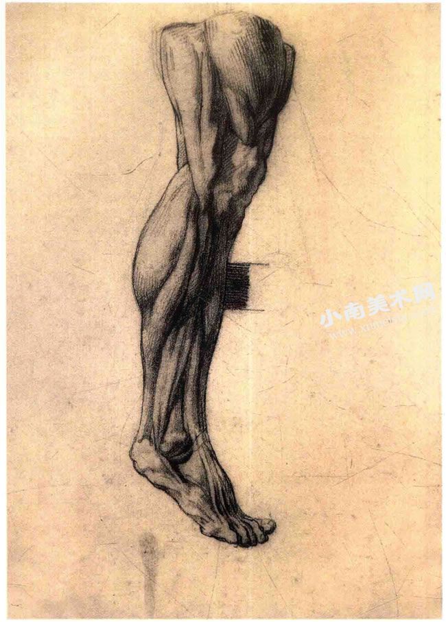 泰奥多尔•籍里柯《腿部的解剖素描》作品高清大图