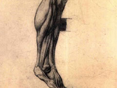 泰奥多尔•籍里柯《腿部的解剖素描》作品欣赏