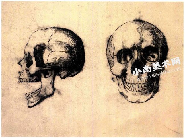 泰奥多尔•籍里柯《头骨的解剖素描习作》作品高清大图
