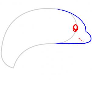 海豚的简笔画画法步骤  - 第三步