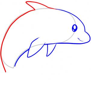 海豚的简笔画画法步骤  - 第五步