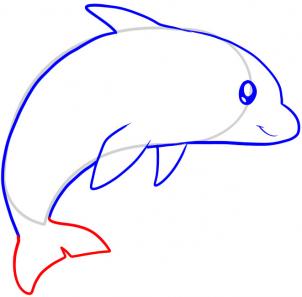 海豚的简笔画画法步骤  - 第六步