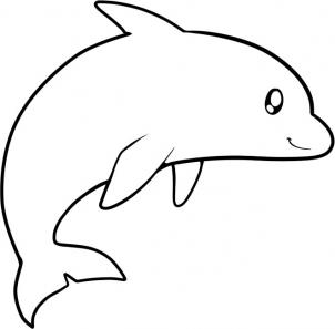 海豚的简笔画画法步骤  - 第七步
