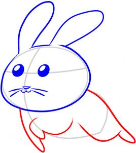 第四步：兔子的简笔画画法步骤
