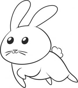 第六步：兔子的简笔画画法步骤