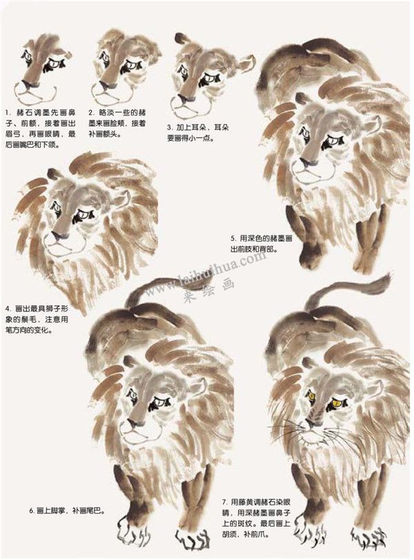 狮子的国画画法步骤