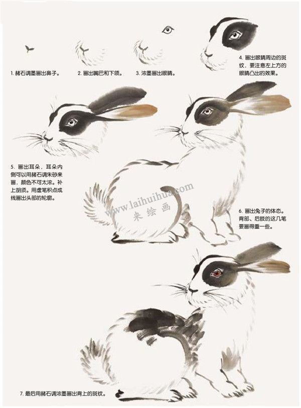 兔子的国画画法步骤
