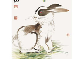 兔子的国画画法