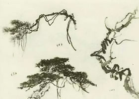藤蔓植物的画法