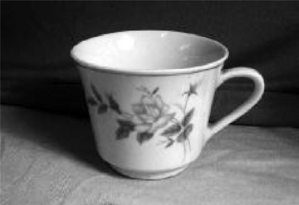 白瓷带花茶杯素描画法步骤