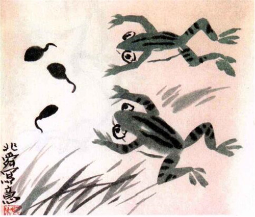 青蛙水墨画画法步骤