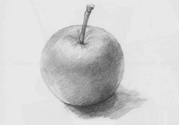 苹果素描（一）