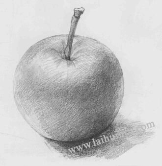苹果素描画法步骤04