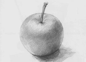 苹果素描（一）