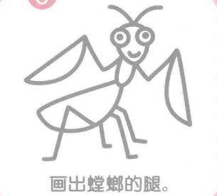 螳螂的简笔画
