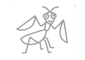 螳螂的简笔画