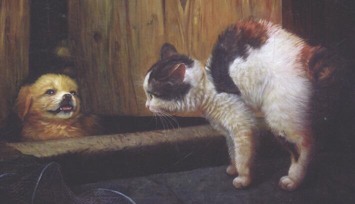 油画画猫的六种飘毛法