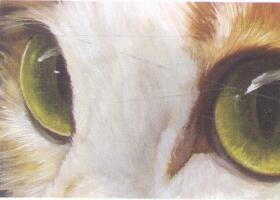 猫眼的油画画法