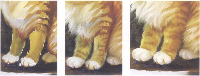 猫足的油画画法