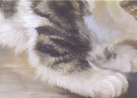 猫足的油画画法