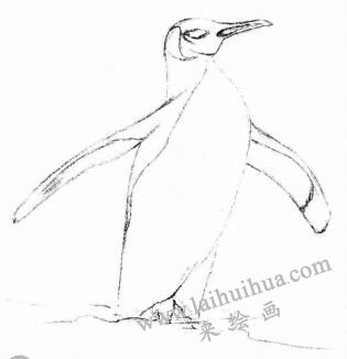 企鹅的素描画法步骤02