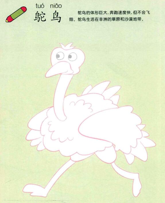 鸵鸟儿童画法（一）