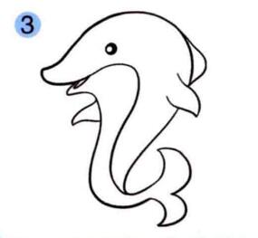 海豚的画法步骤03