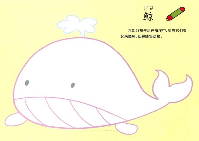 鲸鱼儿童画