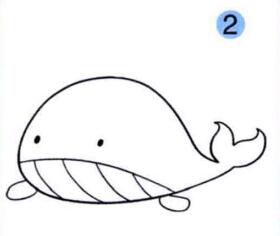 鲸鱼的画法步骤02