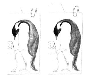 企鹅一家三口素描铺大色画法步骤03