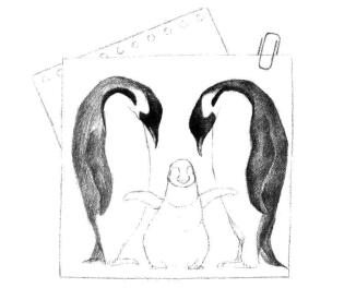 企鹅一家三口素描铺大色画法步骤05