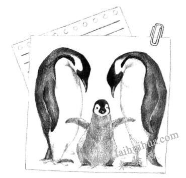 企鹅一家三口素描画法