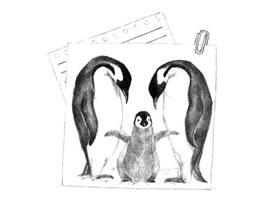 企鹅一家三口素描画法