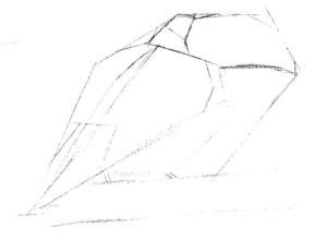 巨嘴鸟的素描画线稿画法步骤02
