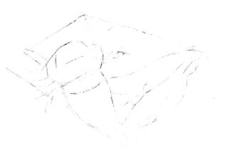 六角恐龙的素描画线稿画法步骤02