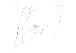 虎鲸的素描画线稿画法步骤01