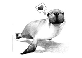 海狮的素描画法