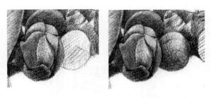木棉花的素描逐个细化画法步骤06