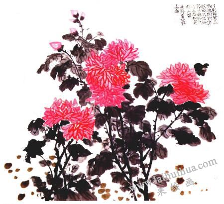 红菊的国画画法