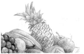 水果拼盘的素描画法步骤05，逐个细化