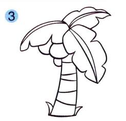 椰子树儿童画画法步骤03