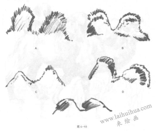 双峰骆驼素描画法02