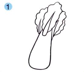 莴苣的儿童画画法步骤01