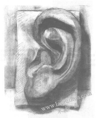 石膏耳朵素描画