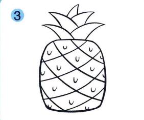 菠萝儿童画画法步骤03