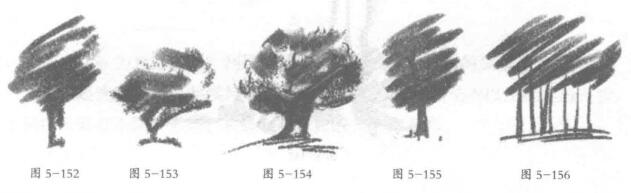 树木的铅笔素描画法03