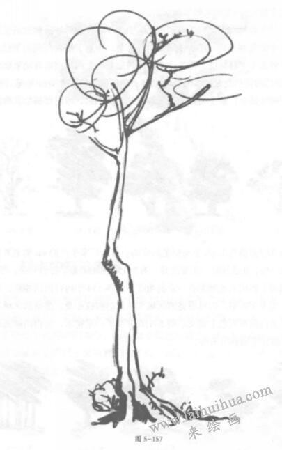 树木的铅笔素描画法04